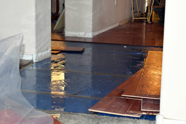 Professional Water Extraction technician working in Whitehall, MI